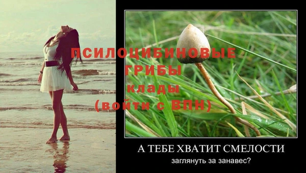 героин Абаза